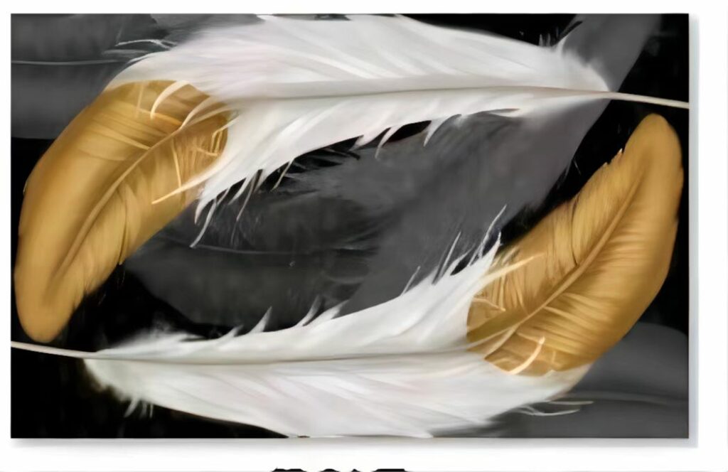 EM TAPETE ESTAMPADO EM3809 Imagem 2