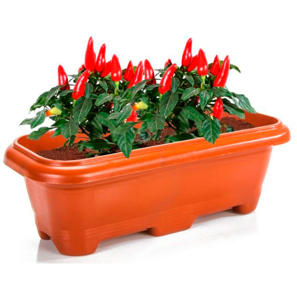 ERCA FLOREIRA CERAMICA 3L RF1377 Imagem 2